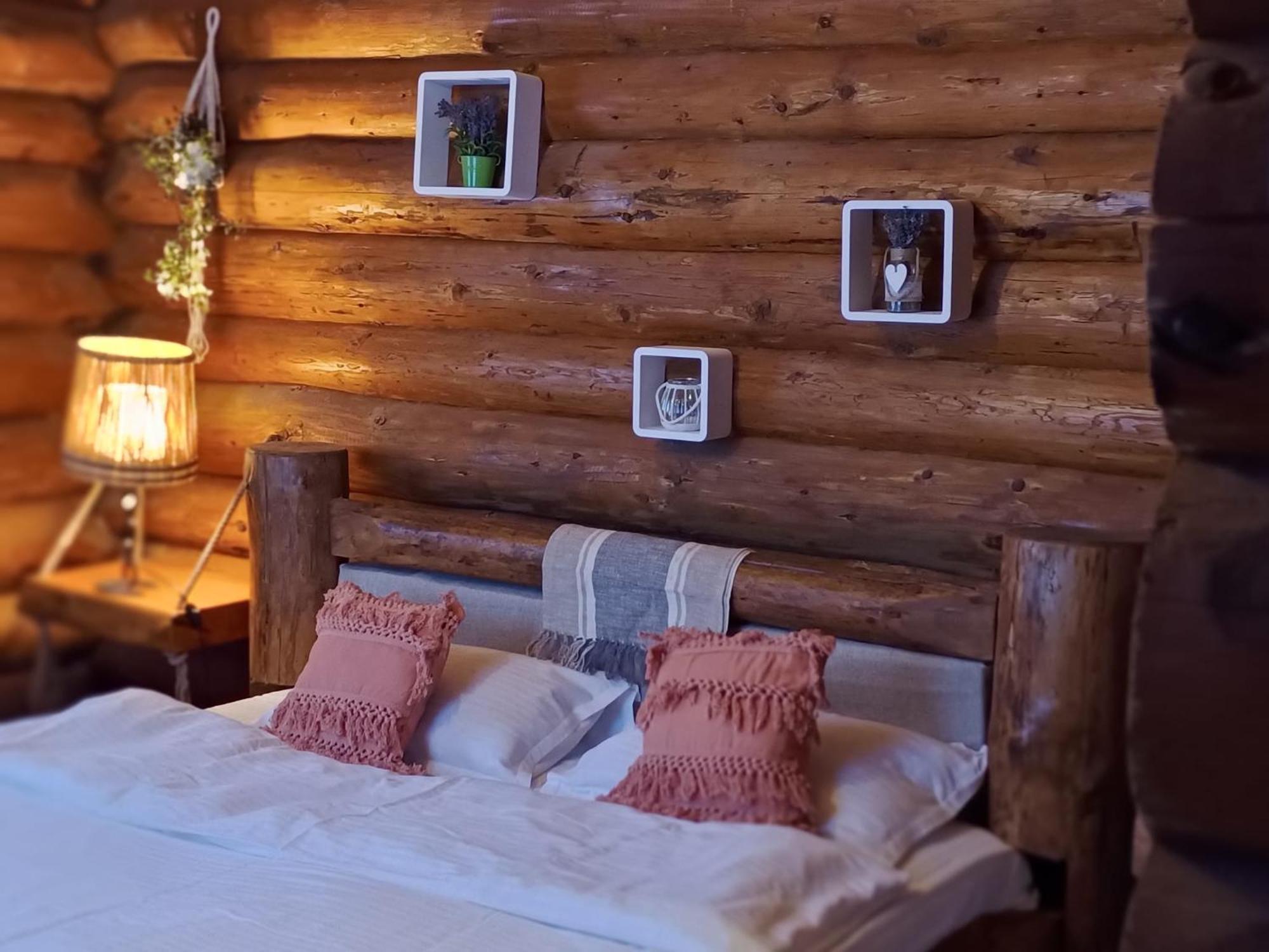 Cabana Rustic Balea Cartisoara Exterior photo